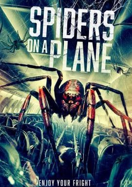 Spiders on a Plane